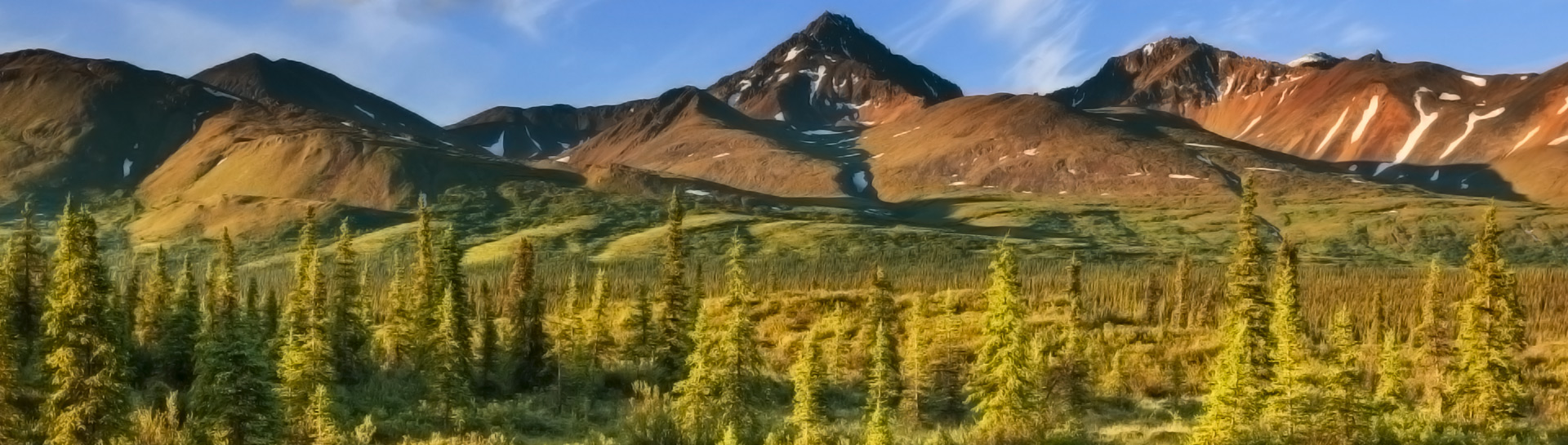 Slide background